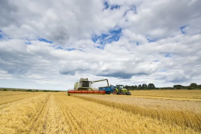 Framed Print : Cls combine harvester, harvesting Barley (Hordeum vulgare) Flagon crop, filling trailer pulled by tractor with grain