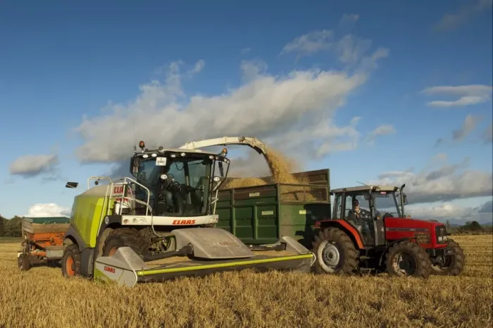 Framed Print : Cls forage harvester unloading into tractor with trailer, making alkalage with wholecrop cereals for animal feed Framed Print : Cls forage harvester unloading into tractor with trailer, making alkalage with wholecrop cereals for animal feed