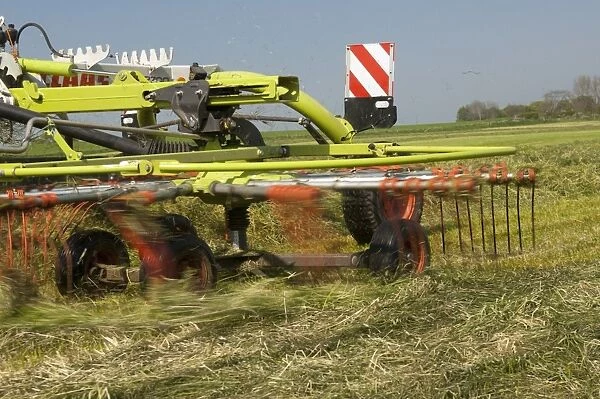 Cls grass rake, rowing grass up in silage field, Northumberland, England, May