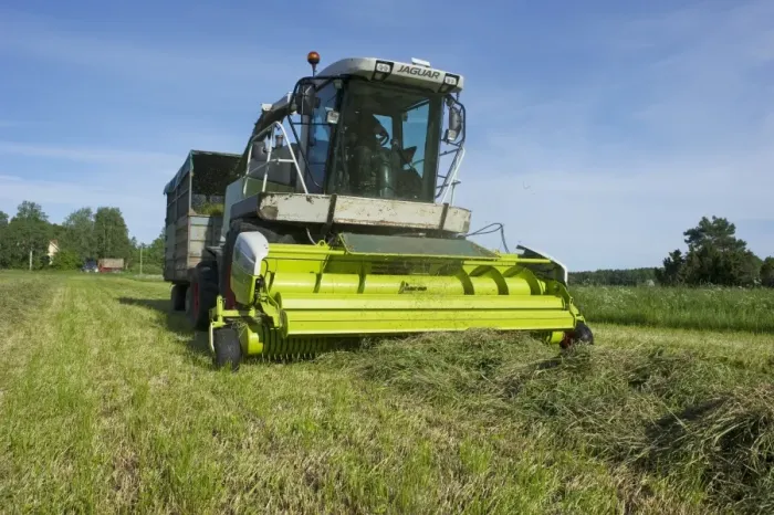 Framed Print : Cls Jaguar 850 forage harvester, cutting grass for silage and loading wagon, Alunda, Uppsala, Sweden, june Framed Print : Cls Jaguar 850 forage harvester, cutting grass for silage and loading wagon, Alunda, Uppsala, Sweden, june