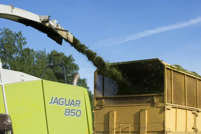 Framed Print : Cls Jaguar 850 forage harvester, cutting grass for silage and loading wagon, Alunda, Uppsala, Sweden, june Framed Print : Cls Jaguar 850 forage harvester, cutting grass for silage and loading wagon, Alunda, Uppsala, Sweden, june