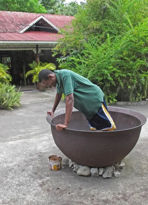 Framed Print : Cocoa (Theobroma cacao) crop, beans in large bowl being coating in cocoa dance by worker, Fond Doux Plantation, St Framed Print : Cocoa (Theobroma cacao) crop, beans in large bowl being coating in cocoa dance by worker, Fond Doux Plantation, St