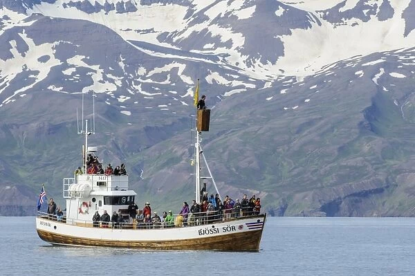 Commercial whalewatching boat at sea, Skjalfandi Bay, Iceland, July