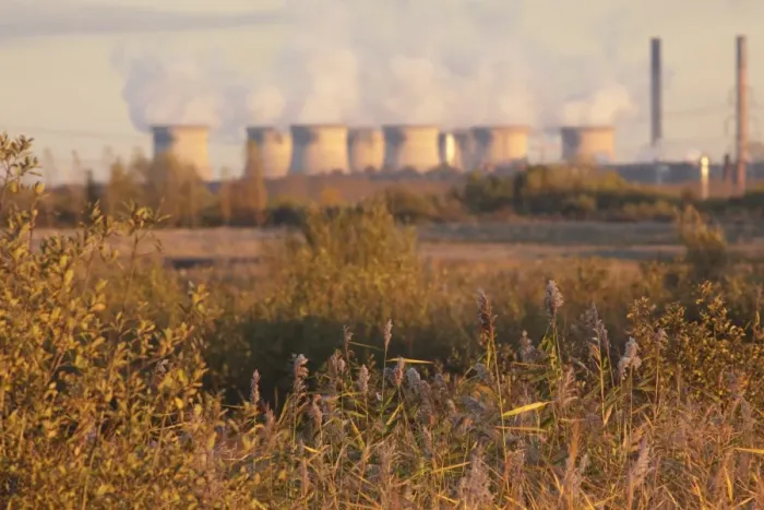 Framed Print : Common Reed (Phragmites australis) reedbed habitat in low winter sunlight, with Ferrybridge Power Station in distance