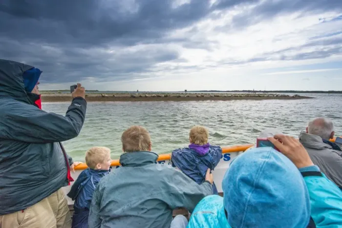 Framed Print : Common Seal (Phoca vitulina) group, hauled out on shingle spit, with tourists watching from boat, Blakeney Point Framed Print : Common Seal (Phoca vitulina) group, hauled out on shingle spit, with tourists watching from boat, Blakeney Point