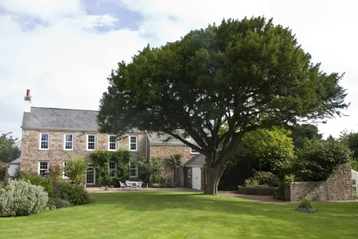 Framed Print : Common yew tree in the garden of La Chasse, Trinity, Jersey Framed Print : Common yew tree in the garden of La Chasse, Trinity, Jersey