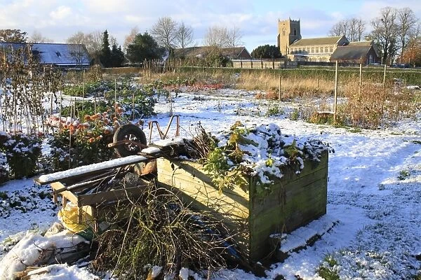 Compost heap in snow covered village allotments, with church in background, St