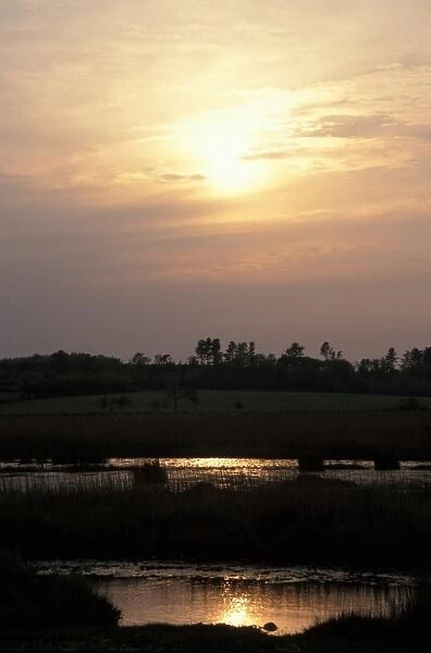 Conservation - Reserves - Setting sun over Dingle Marsh, Suffolk Wildlife Trust