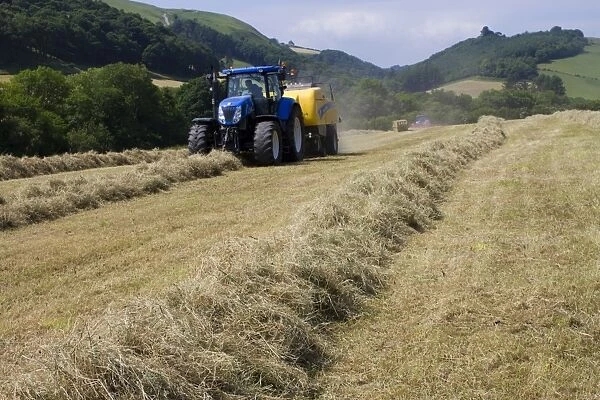 Contractor with New Holland T7040 tractor and New Holland big-square baler, baling hay on organic farm, Powys, Wales