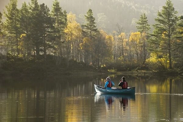Couple canoeing on freshwater loch, with Scots Pine (Pinus sylvestris) and Silver Birch (Betula forest on shore)