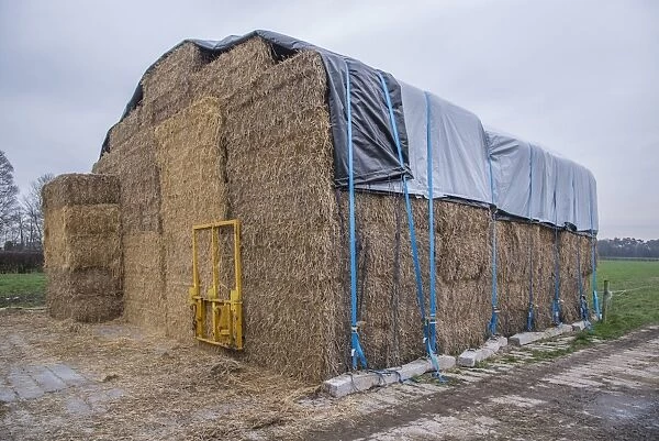Covered big bale straw stack, Cheshire, England, January