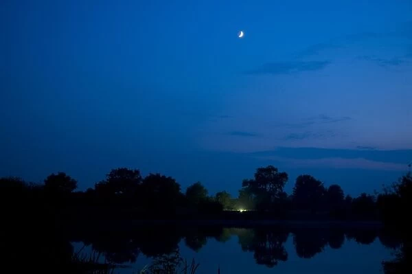 Crescent Moon, above mercury vapour moth trap in beside flooded former gravel pit habitat at night, Priory Water Nature Reserve, Leicestershire, England, june