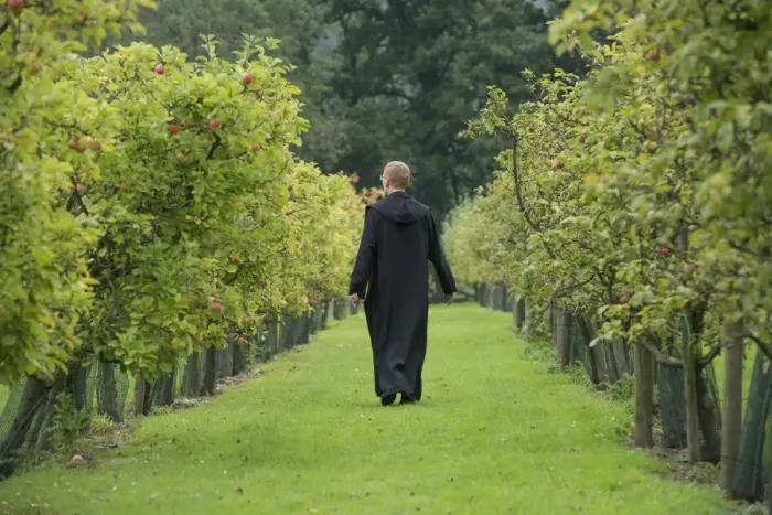 Framed Print : Cultivated Apple (Malus domestica) orchard, monk walking between trees at Benedictine monastery, Ampleforth Abbey