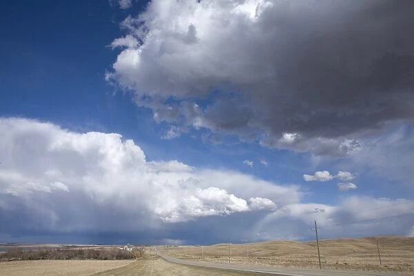 Cumulus congestus clouds over road through prairie, North Dakota, U. S. A. April