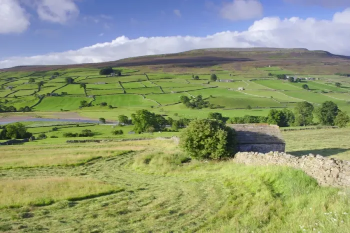 Framed Print : Cut grass in meadow and stone barn near river, drystone walls on hillside, River Swale, Reeth, Swaledale Framed Print : Cut grass in meadow and stone barn near river, drystone walls on hillside, River Swale, Reeth, Swaledale