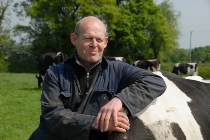 Framed Print : Dairy farmer Steve Hook with Friesian cows in herd on organic dairy farm, featured in The Moo Man documentary film Framed Print : Dairy farmer Steve Hook with Friesian cows in herd on organic dairy farm, featured in The Moo Man documentary film
