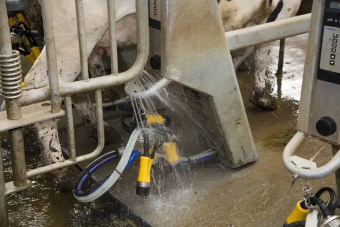 Framed Print : Dairy farming, automatic washing of milking clusters before milking Holstein dairy cows in Alpha Laval 50 point rotary Framed Print : Dairy farming, automatic washing of milking clusters before milking Holstein dairy cows in Alpha Laval 50 point rotary