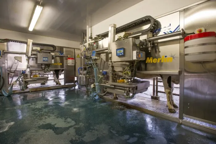 Framed Print : Dairy farming, dairy cows being milked in Fullwood Merlin robotic milking parlour, Lancashire, England, May Framed Print : Dairy farming, dairy cows being milked in Fullwood Merlin robotic milking parlour, Lancashire, England, May