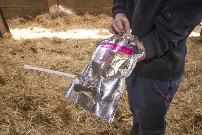 Framed Print : Dairy farming, farmer with colostrum in bag for first feed of calves, in straw calving yard, Cheshire, England, May Framed Print : Dairy farming, farmer with colostrum in bag for first feed of calves, in straw calving yard, Cheshire, England, May