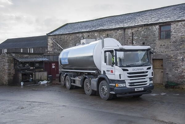 Dairy farming, First Milk tanker collecting milk from farm, Church Brough, Kirkby Stephen, Cumbria, England, December