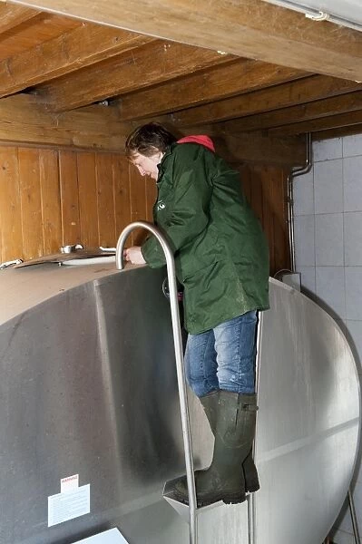 Dairy farming, woman from National Milk Records taking sample from bulk milk tank, England, may