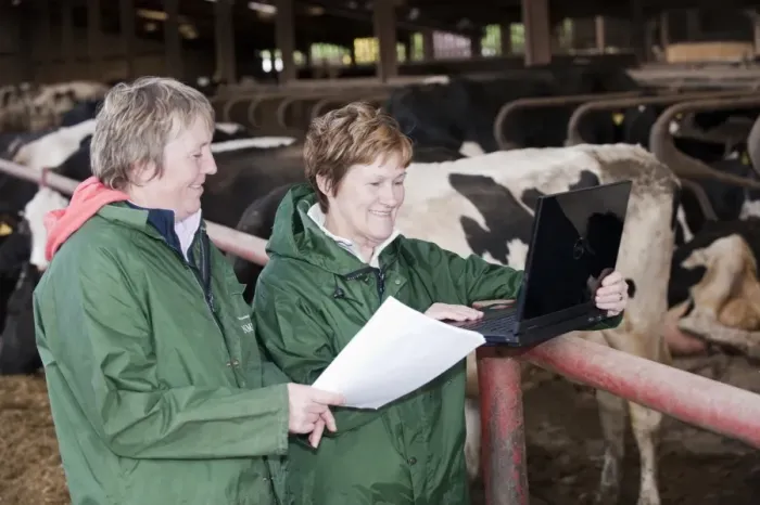 Framed Print : Dairy farming, two women from National Milk Records looking at laptop computer in cow shed, England, may Framed Print : Dairy farming, two women from National Milk Records looking at laptop computer in cow shed, England, may