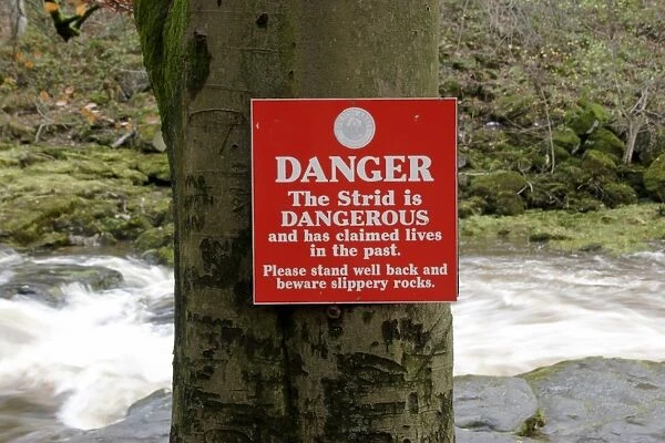 Danger, The Strid is Dangerous warning sign beside fast-flowing river, The Strid, River Wharfe, Bolton Abbey Estate