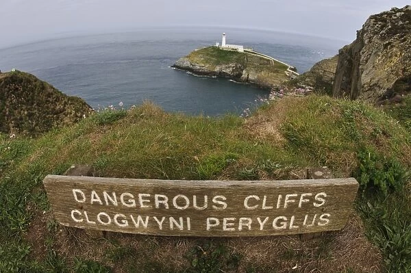 Dangerous Cliffs, Clogwyni Peryglus bilingual sign on clifftop, with lighthouse in background, South Stack Lighthouse