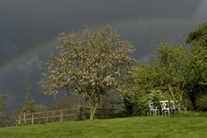 Framed Print : Dark sky with a vivid rainbow over a garden with a flowering crab apple tree on a showery spring day, West Berkshire Framed Print : Dark sky with a vivid rainbow over a garden with a flowering crab apple tree on a showery spring day, West Berkshire