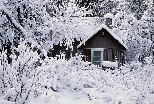Deep snow in winter garden, wooden house beyond, Sweden