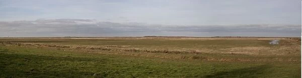 Deepdale Marsh at Burnham Norton, Brancaster North Norfolk - Marsh land habitat used by winter wildfowl flocks