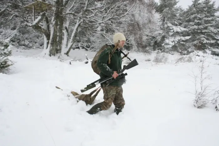 Framed Print : Deer stalker walking in snow with shot Western Roe Deer, (Capreolus capreolus), deer management on reserve Framed Print : Deer stalker walking in snow with shot Western Roe Deer, (Capreolus capreolus), deer management on reserve