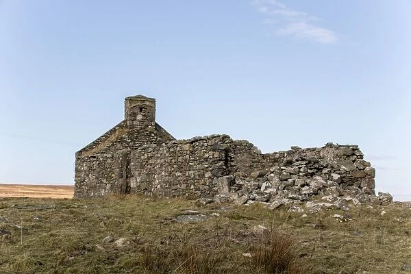 Derelict croft often used by nesting choughs or Jackdaws on the Isle of Islay Scotland
