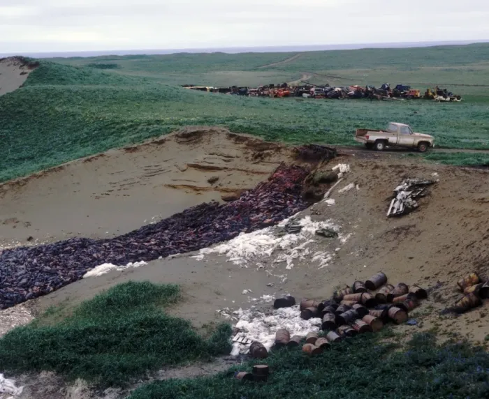 Framed Print : Destruction-Seal Cull Pit containing harvested carcasses of Northern Fur Seal  /  Pribilof Island