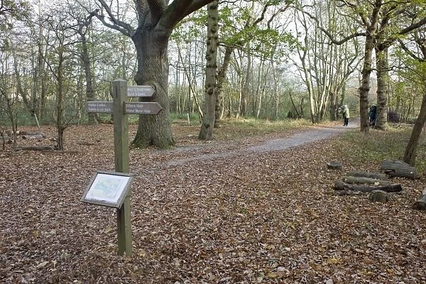 Direction sign and map on woodland path, Minsmere RSPB Reserve, Suffolk, England, november