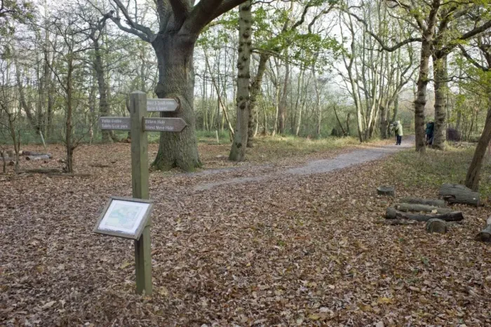 Framed Print : Direction sign and map on woodland path, Minsmere RSPB Reserve, Suffolk, England, november Framed Print : Direction sign and map on woodland path, Minsmere RSPB Reserve, Suffolk, England, november