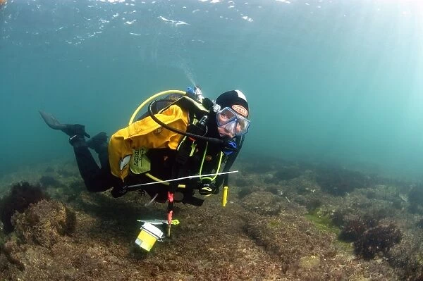 Diver carrying survey equipment underwater, Kimmeridge Bay, Dorset, England, march