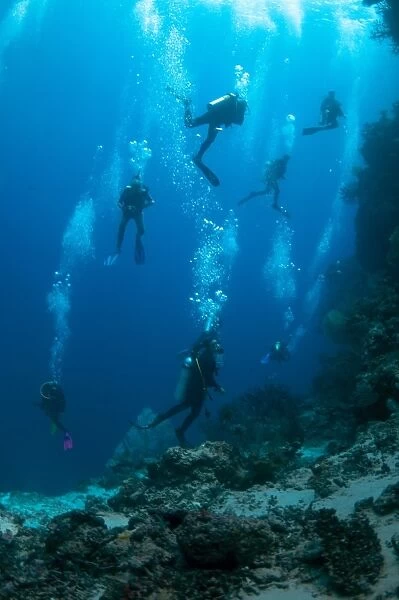 Divers swimming over reef, Hatta Arch, Hatta, near Bandaneira, near Ambon Island, Maluku Islands, Banda Sea, Indonesia