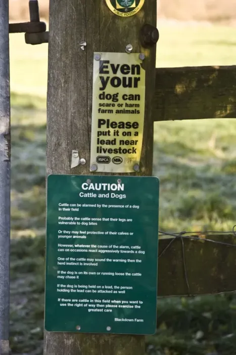 Framed Print : Even your dog can scare or harm farm animals, please put it on a lead near livestock sign and Caution Framed Print : Even your dog can scare or harm farm animals, please put it on a lead near livestock sign and Caution
