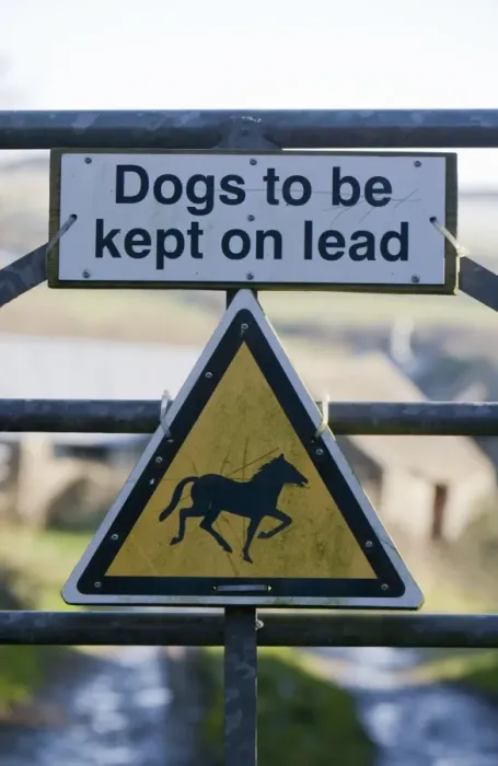 Framed Print : Dogs to be kept on lead and Wild horses or ponies warning signs on farm gate, Pembrokeshire, Wales, january Framed Print : Dogs to be kept on lead and Wild horses or ponies warning signs on farm gate, Pembrokeshire, Wales, january