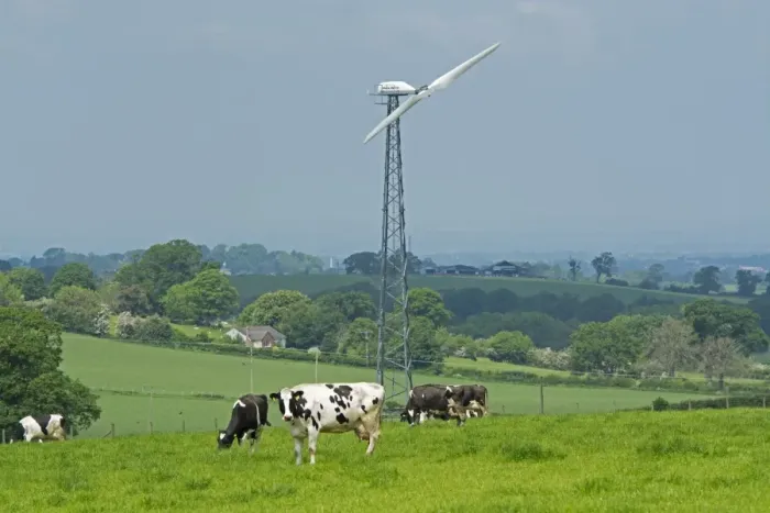 Framed Print : Domestic Cattle, Holstein, dairy cows, herd grazing in pasture, with wind turbine in background, Cumbria, England, May Framed Print : Domestic Cattle, Holstein, dairy cows, herd grazing in pasture, with wind turbine in background, Cumbria, England, May