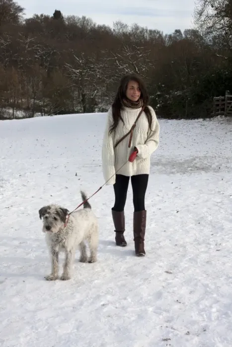 Framed Print : Domestic Dog, Greek Mountain Dog, elderly adult, being walked on extendable lead by young woman owner in snow, Surrey Framed Print : Domestic Dog, Greek Mountain Dog, elderly adult, being walked on extendable lead by young woman owner in snow, Surrey
