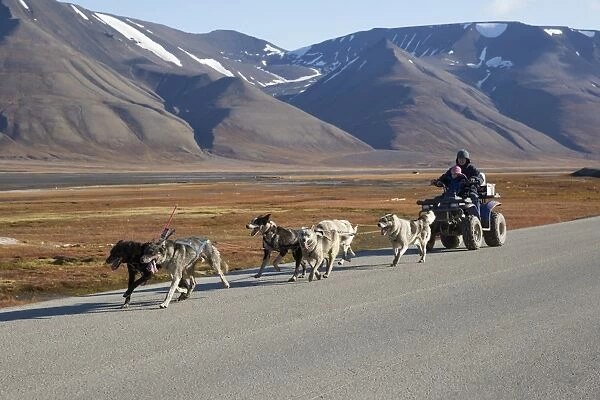 Domestic Dog, husky-type sledgedogs, team pulling quadbike with woman and child, near Longyearbyen, Spitsbergen