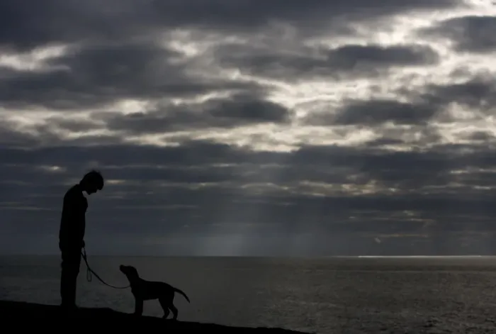 Framed Print : Domestic Dog, Labrador Retriever, puppy, with owner, silhouetted at coast, Chesil Beach, Dorset, England, january Framed Print : Domestic Dog, Labrador Retriever, puppy, with owner, silhouetted at coast, Chesil Beach, Dorset, England, january