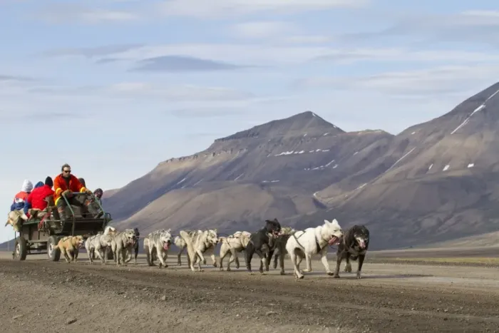 Framed Print : Domestic Dog, sled team pulling trailer with tourists, near Longyearbyen, Spitzbergen, Svalbard, july
