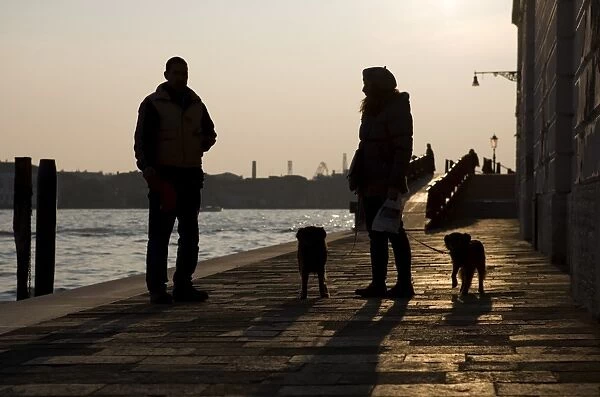 Domestic Dog, woman owner taking two dogs for walk, talking to man at waterside silhouetted at sunset, Venice, Veneto