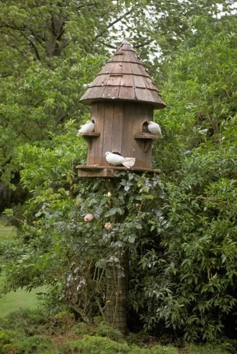 Framed Print : Dovecote with white doves in garden, Surrey, England, summer Framed Print : Dovecote with white doves in garden, Surrey, England, summer