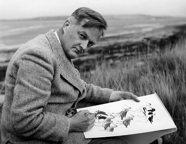 Dr Roger Tory Peterson painting one of the wader plates for A field Guide to the Birds of Britain