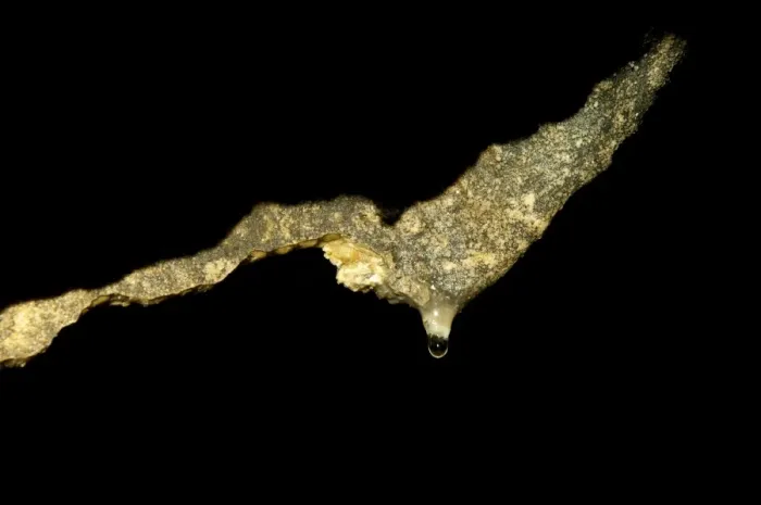 Framed Print : Drop of water poised on tip of new stalactite limestone rock formation in cave, Ingleborough Cave, Yorkshire Dales N. P