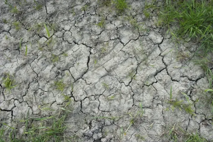 Framed Print : Drought, cracked soil at edge of arable field, Sweden, May Framed Print : Drought, cracked soil at edge of arable field, Sweden, May